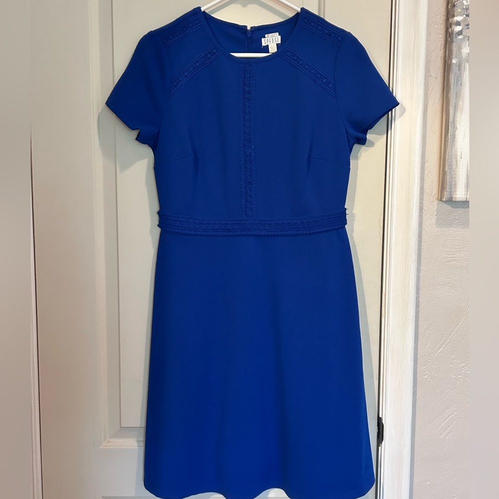 Spense Pretty Blue Short Sleeve Lace Fit & Flare Dress